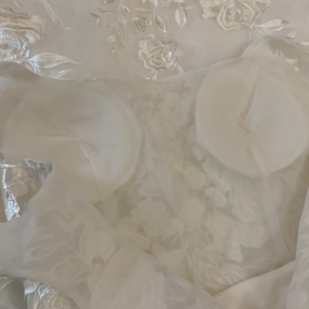 Wedding gown w/ beautiful floral embroidered tulle overlay & full skirt - Picture 14 of 16
